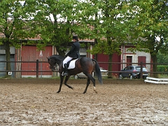 PO 2008 (5)